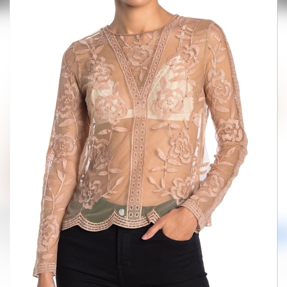 EUC Honey Punch Sheer Floral Embroidered Lace Top Long Sleeve